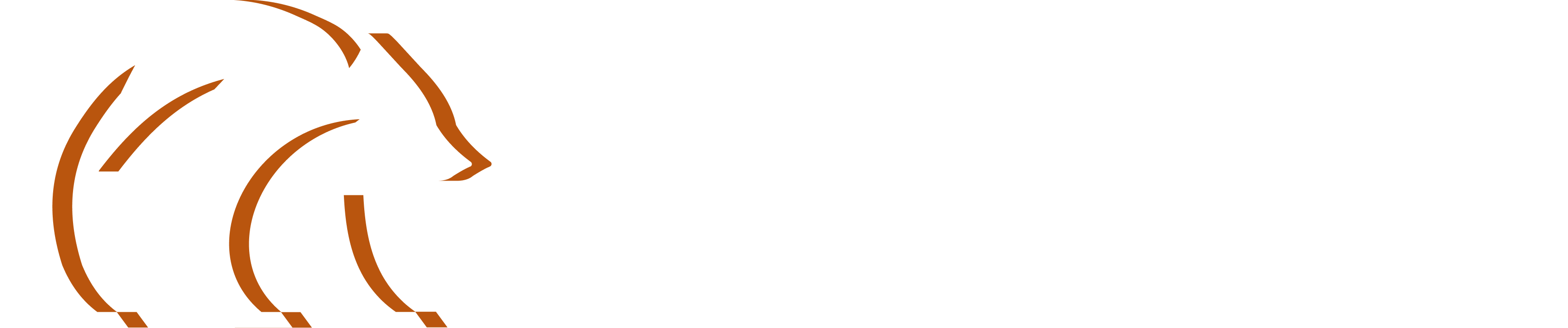Skyline Business Law